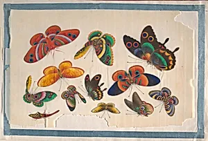 Album Containing Twelve Paintings of Insects by Unidentified artist