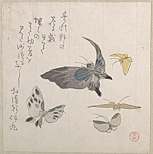 Butterflies by Kubo Shunman