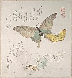 Various Moths and Butterflies by Kubo Shunman