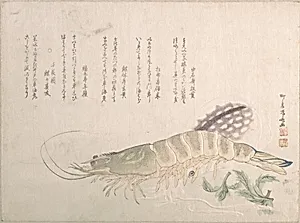 Shrimp and Cuttlefish by Ryūryūkyo Shinsai