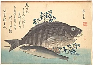 Shimadai and Ainame Fish, from the series Uozukushi (Every Variety of Fish) by Utagawa Hiroshige