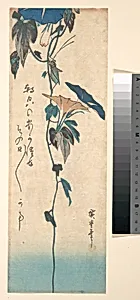 Grasshopper and Morning-glory Vine by Utagawa Hiroshige