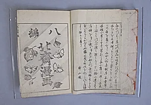 Transmitting the Spirit, Revealing the Form of Things: Hokusai Sketchbooks, volume 8 (Denshin kaishu: Hokusai manga, hachihen) by Katsushika Hokusai