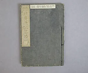 Transmitting the Spirit, Revealing the Form of Things: Hokusai Sketchbooks, volume 13 (Denshin kaishu: Hokusai manga, jūsanpen) by Katsushika Hokusai