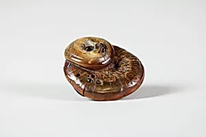 Netsuke of Mushroom Eaten by Insects