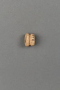 Arrowheads, needles, hooks and harpoons by Unknown Artist