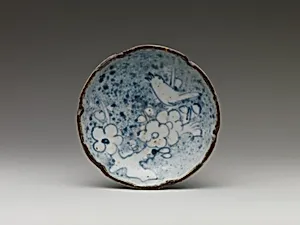 Dish