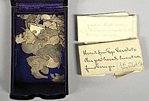 Box of Remnants
