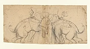 Elephants in Combat