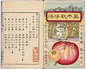 Illustrated book