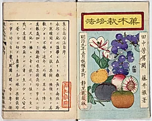 Illustrated book