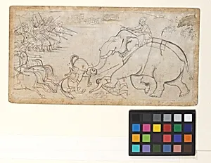 Skirmish with an Elephant