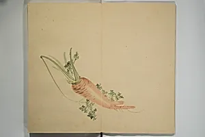 Untitled Picture Album of Twenty-five Watercolor Paintings by Nishiyama Hōen 西山芳園