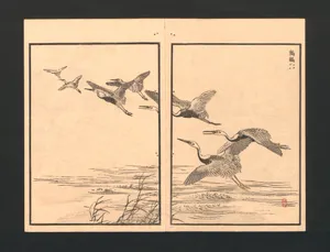 梅嶺百鳥畫譜|Bairei Picture Album of One Hundred Birds (Bairei hyakuchō gafu)