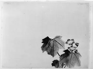 Bellflower