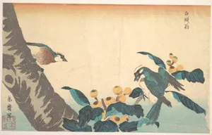 Birds and Flowers