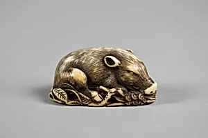 猪牙彫根付|Boar