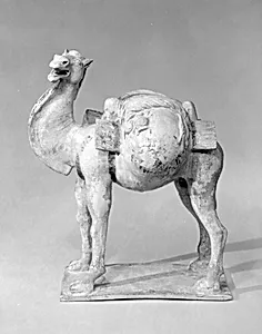 隋 釉陶駱駝俑|Camel with saddle bags