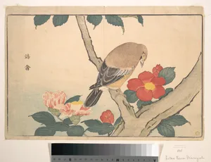 Camellias with a Bird