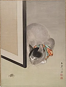 猫に蜘蛛図|Cat Watching a Spider