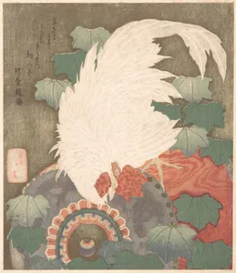 Cock on Drum