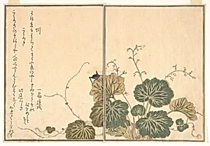『画本虫撰』「蚓」「こうろき」|Earthworm (Mimizu); Cricket (Kōrogi), from the Picture Book of Crawling Creatures (Ehon mushi erami) by Kitagawa Utamaro