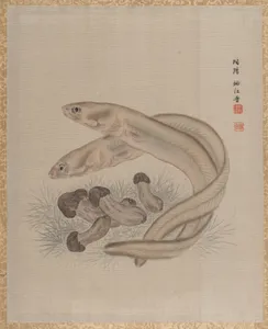Eels