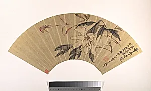 清 胡遠 芍藥 扇面|Herbaceous Peony