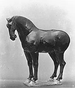 唐 褐黑釉陶馬|Horse