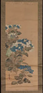 Hydrangeas