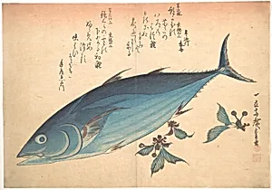 魚づくし　鰹に桜|Katsuo Fish with Cherry Buds, from the series Uozukushi (Every Variety of Fish) by Utagawa Hiroshige