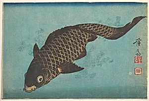 Koi