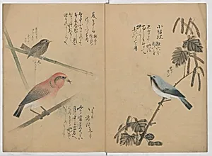 Kotori Ruishō|A Compendium of Small Birds by Nantō