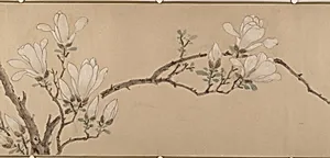 明 佚名（文徵明款） 玉蘭圖 卷|Magnolia