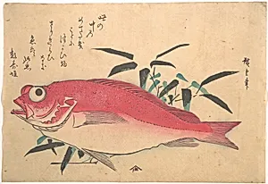 魚づくし|Medetai Fush and Sasaki Bamboo, from the series Uozukushi (Every Variety of Fish) by Utagawa Hiroshige