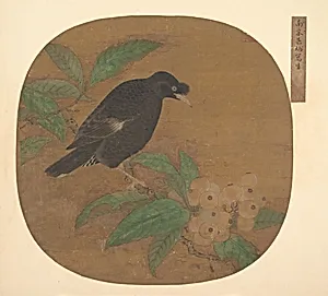 南宋？佚名 舊傳吳炳 枇杷八哥圖 團扇頁|Minah Bird on a Loquat Branch by Unidentified artist|Wu Bing