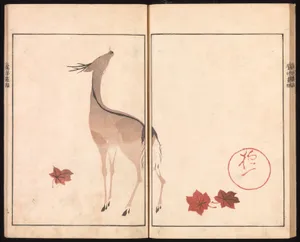 池田孤邨画　『抱一上人真蹟鏡』|Ōson (Hōitsu) Picture Album (Ōson gafu)