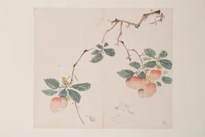 明　胡正言　《十竹齋書畫譜》　四開　木版畫|Page from the Ten Bamboo Studio Manual of Painting and Calligraphy
