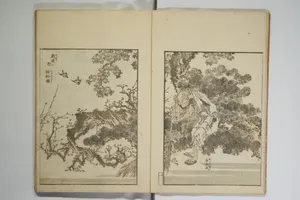 Picture Album Transmitting the Spirit: The Hokusai Drawing Style (Denshin gafu Hokusai gashiki)