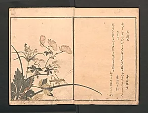 画本虫撰|Picture Book of Crawling Creatures (The Insect Book) (Ehon mushi erami) by Kitagawa Utamaro