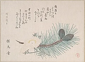 Pines and Cherry Blossoms