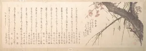 Plum Blossom