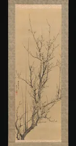 Plum Blossoms