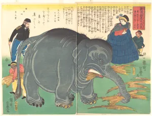 Recently Imported Big Elephant