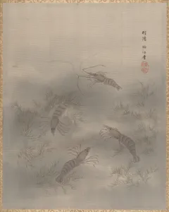 Shrimp (Ebi)
