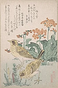 『鳥合』　桜草に雲雀|Skylarks and Primroses,” from the Series An Array of Birds (Tori awase), from Spring Rain Surimono Album (Harusame surimono-jō, vol. 3) by Kubo Shunman