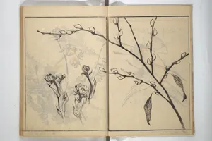山口素絢画 『素絢画譜 草花之部』|Soken Picture Album: The Plant Section (Soken gafu: Sōka no bu) 素絢画譜 草花之部