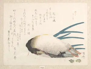 摺物帖　『春雨集』　鴨と葱|Spring Rain Collection (Harusame shū), vol. 1: Duck and Scallions