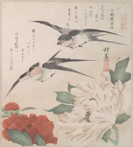 摺物帖　『春雨集』　『花鳥六番之内　下野宇都宮』　牡丹に燕|Spring Rain Collection (Harusame shū), vol. 3: Swallows and Peonies