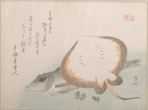 Stingray and Gurnard